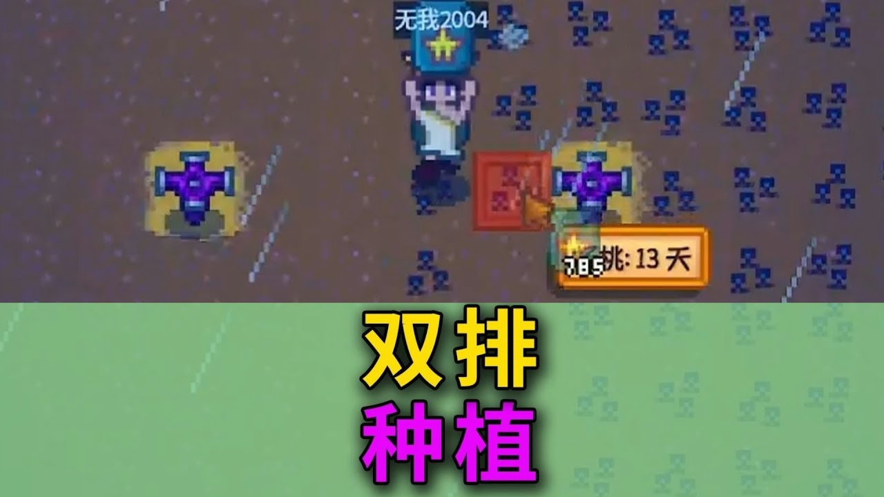 【星露谷物语1.6】双排种植详解 #星露谷物语 #game #steam #stardewvalley