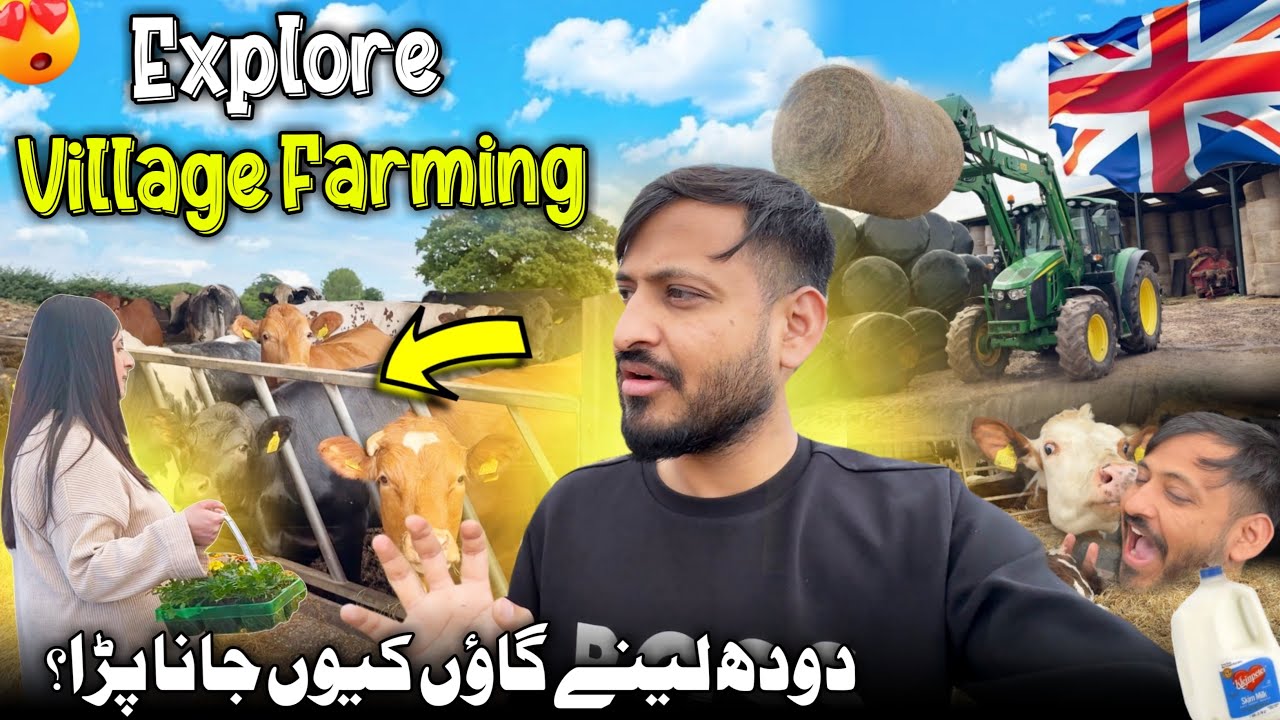 Explore Village Farming in Uk 😍🇬🇧 Doodh Lene Gaon Keyun Jana Para❓Cow Farm Uk 🐄 || Uk Family Vlog