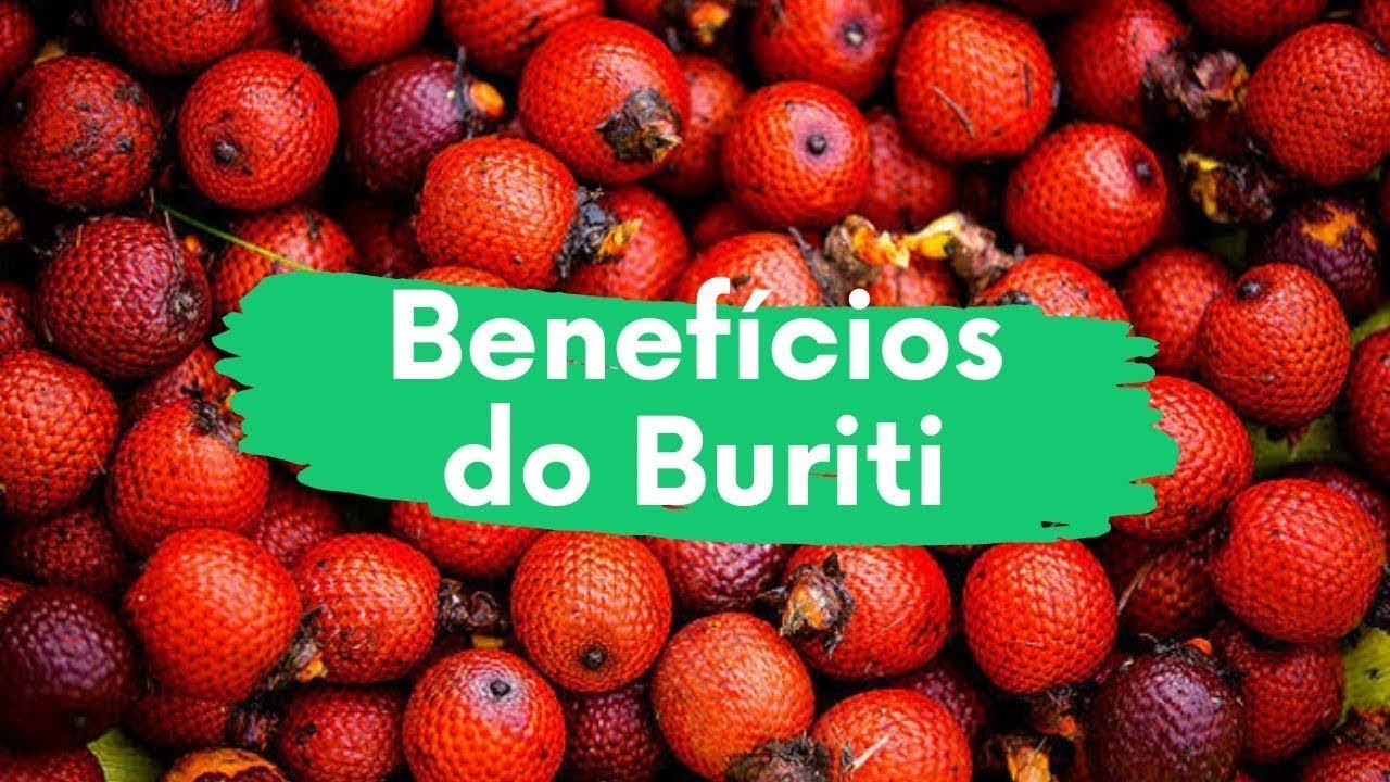 Os Benefícios do Buriti: Tudo sobre a fruta Buriti e suas propriedades!