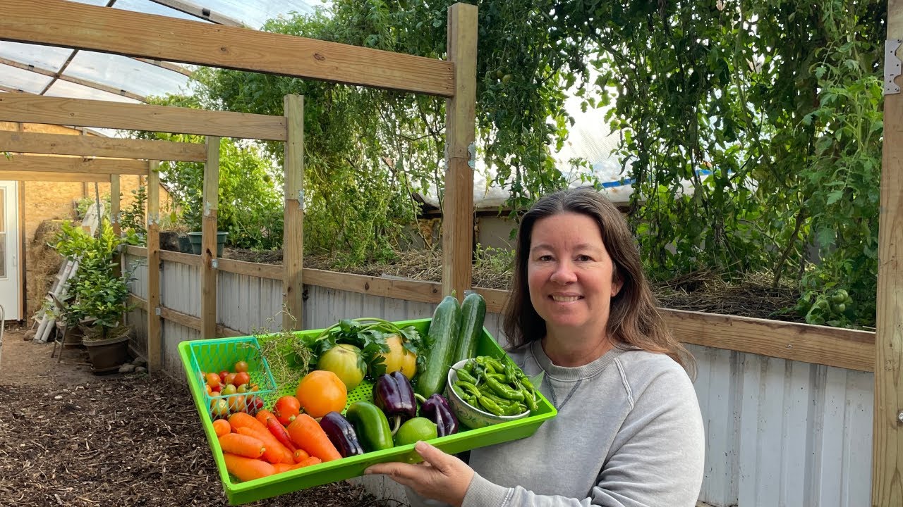 Winter Harvesting And Pollination In Our Greenhouse
