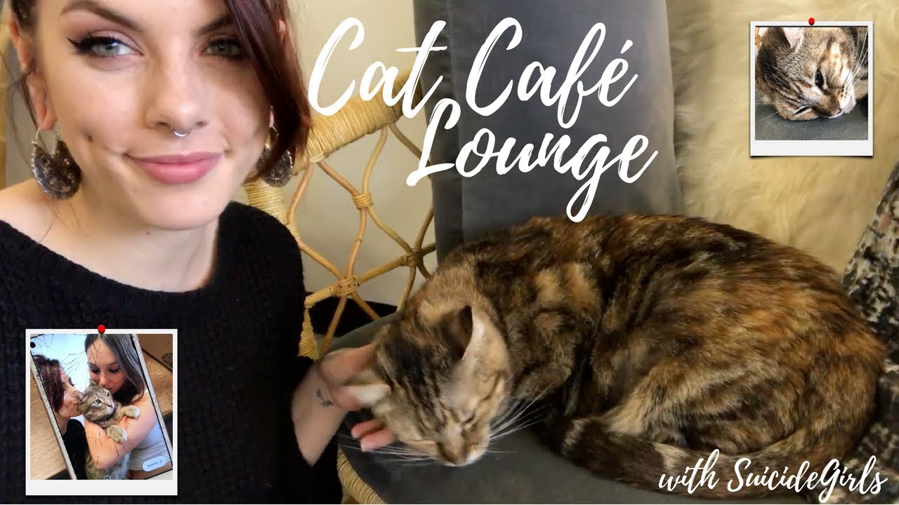 CAT CAF&Eacute; IN LA! With SuicideGirls