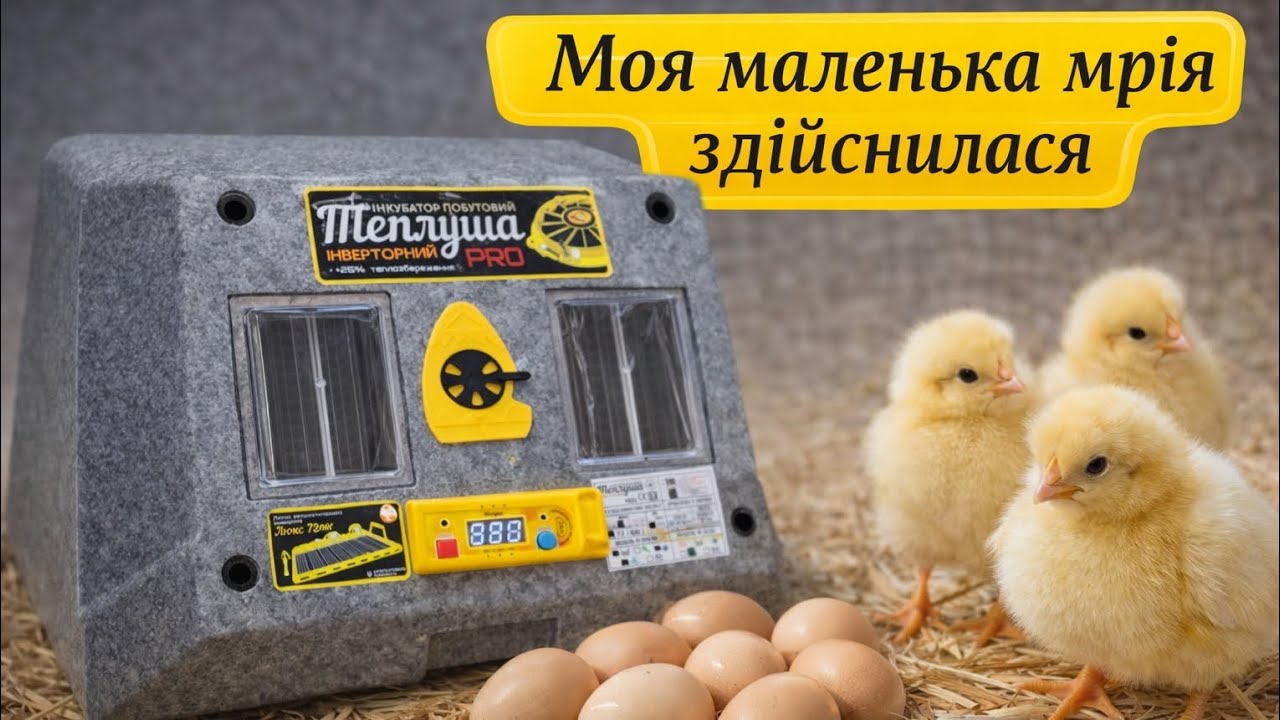 Теплуша PRO 72 🐥 Огляд та підготовка яєць 🥚✨ (дезінфекція перед інкубацією)