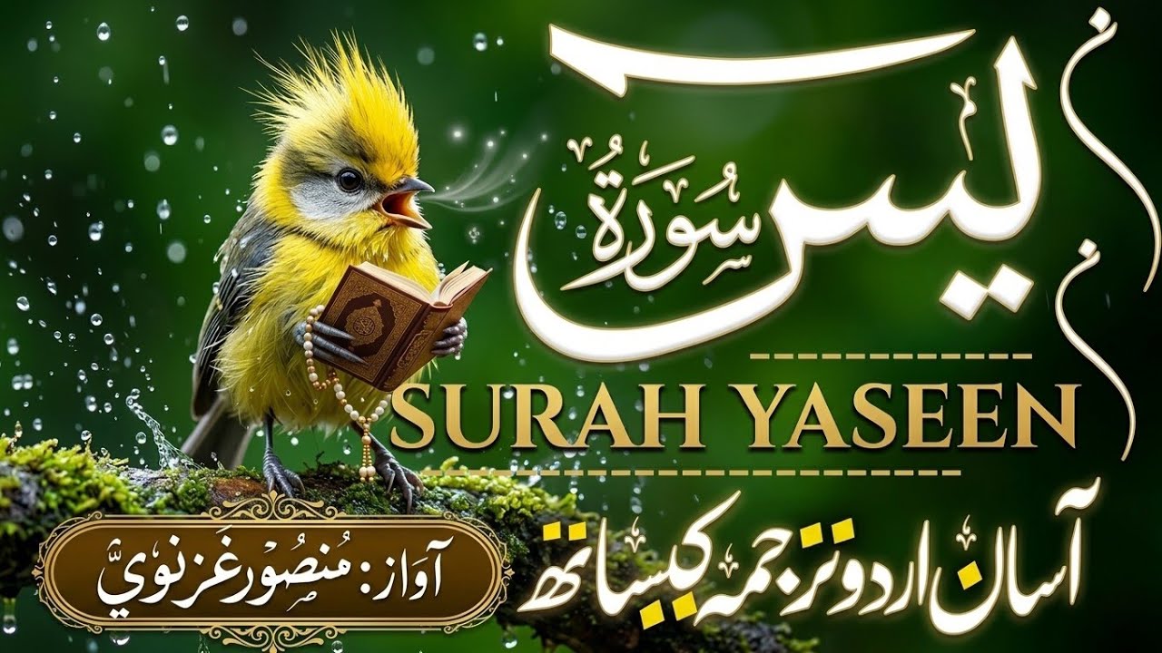 Surah Yasin ( yaseen ) With Urdu Translation |(سورة يس )🌿 Quran with Urdu and Hindi Tarjuma |Epi 002