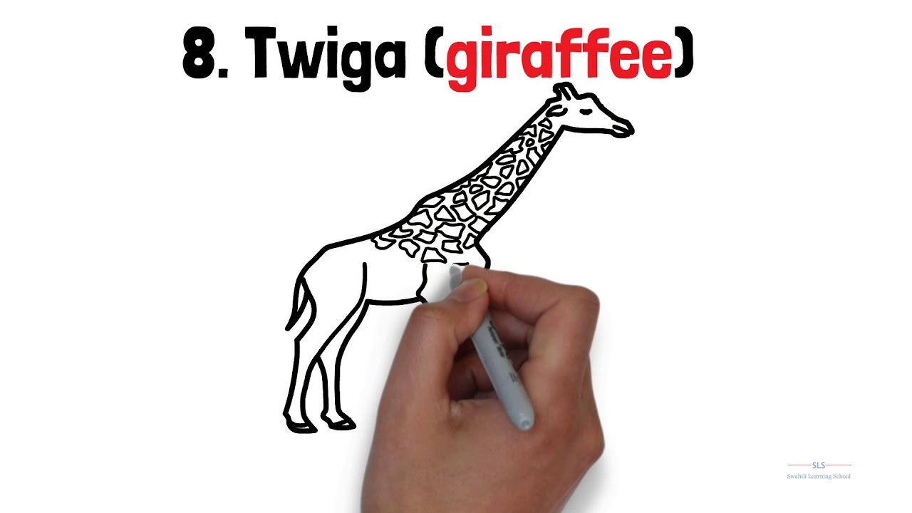 Learn Swahili: NAMING ANIMALS IN SWAHILI : PART ONE