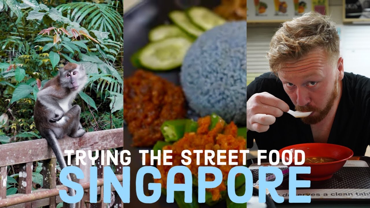 TRYING SINGAPORE STREET FOOD WITH A PICKY EATER (and we meet monkeys!)