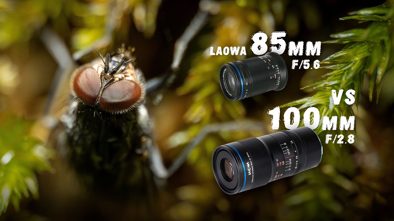 2x Macro Magnification Laowa 85mm f5.6 vs 100mm f2.8 Lens . Compact vs Heavy Lens
