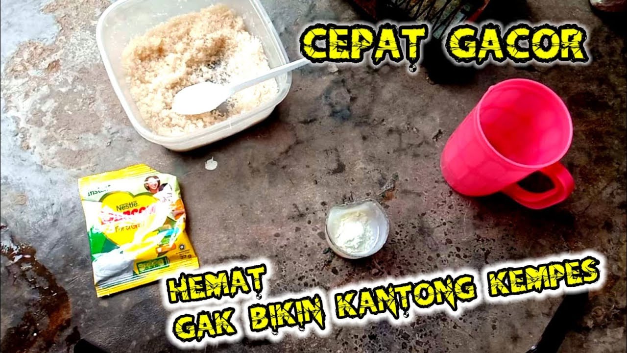 Cara membuat makanan burung sogok ontong agar cepat gacor