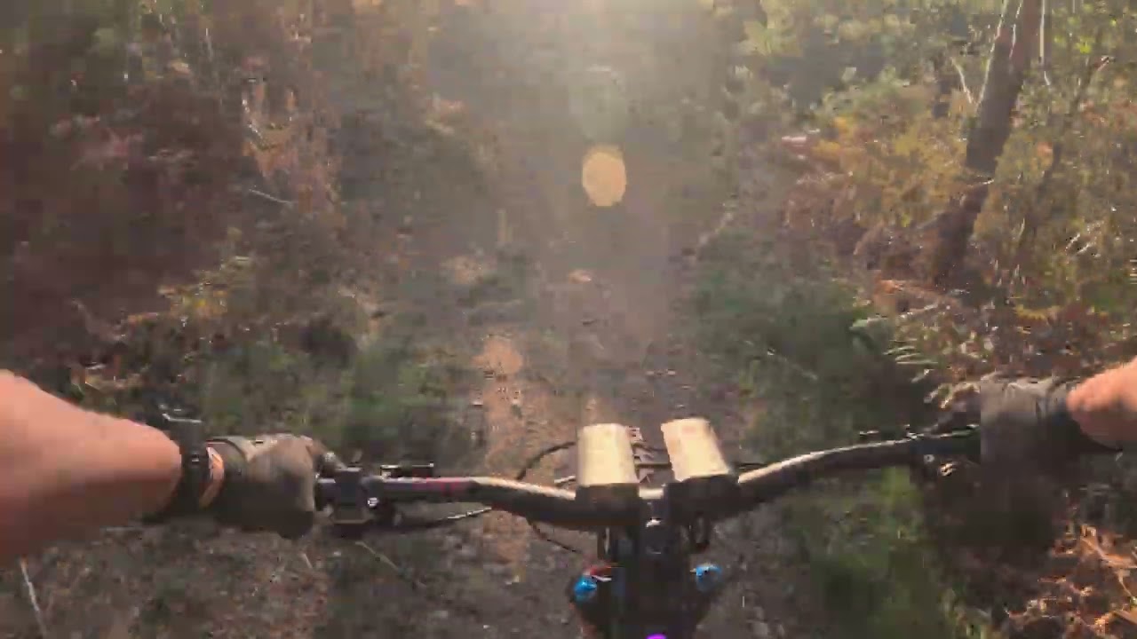 Bob Gnarly into Gnarlyness - Tirpentwys Trails - 08 10 25