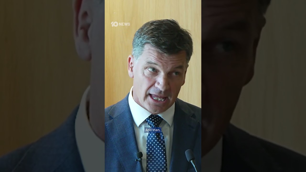 Иммиграционная политика лидера оппозиции Ангуса Тейлора названа &laquo;сеющей раздор&raquo; | 10 News