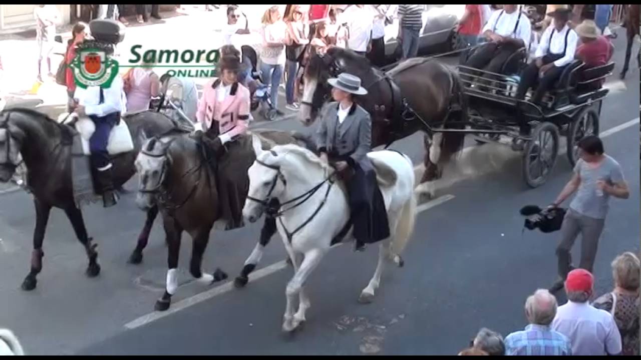 Cortejo de Nossa Senhora de Alcamé