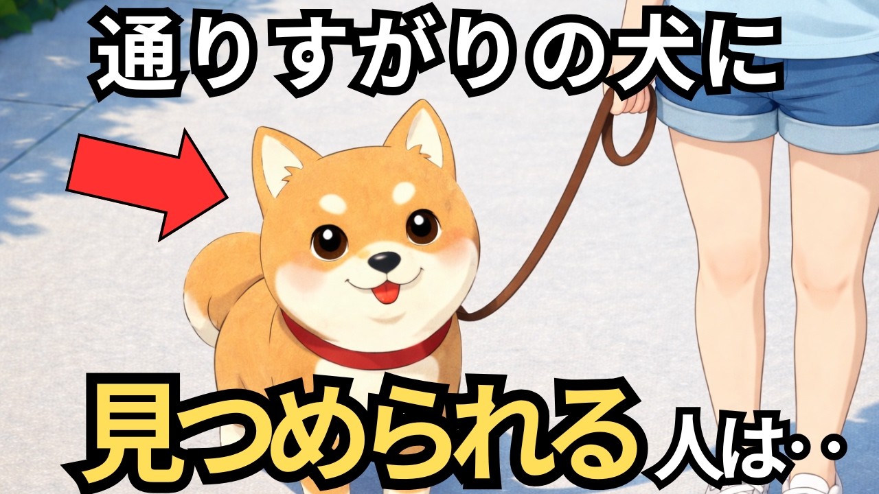 【犬好きは絶対見て！】犬がなぜか近づいてくる人の共通点とは？犬が本能で「安心できる」と感じる5つの特徴【犬の気持ち】【犬の雑学】