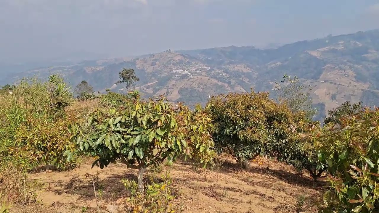 Vean Lo Bonito De Vivir En El Campo.