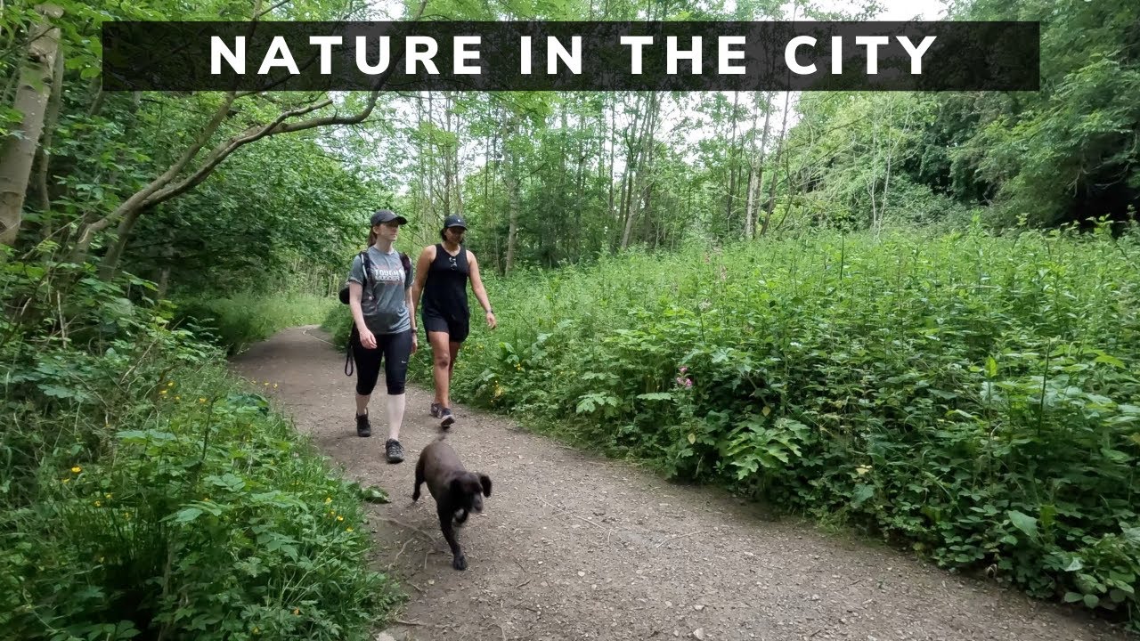 7 miles of urban greenery after work - Meanwood Valley Trail