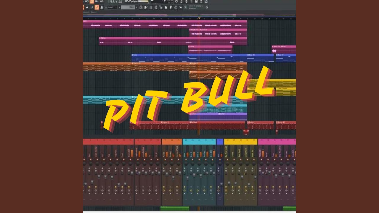 Pit Bull