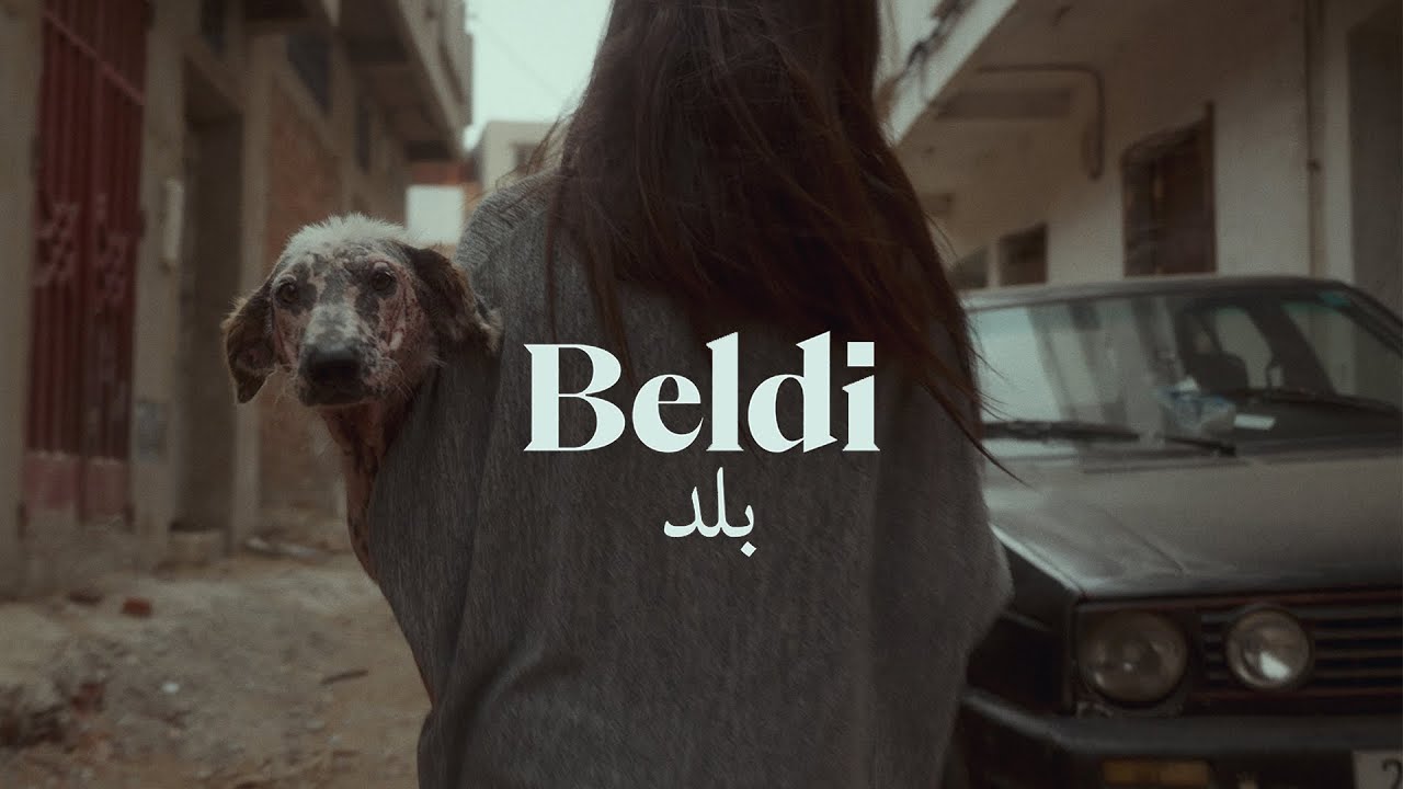 Спасение бродячих собак Танжера | Beldi