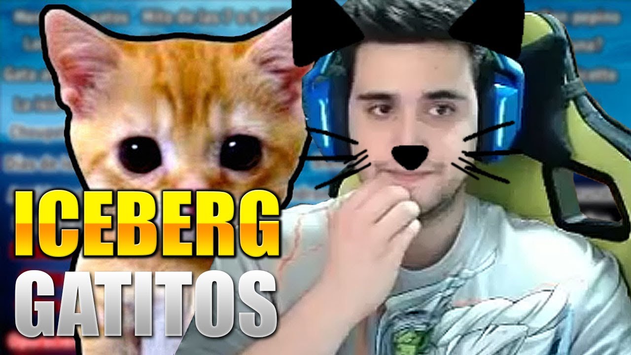 EL ICEBERG DE LOS GATOS