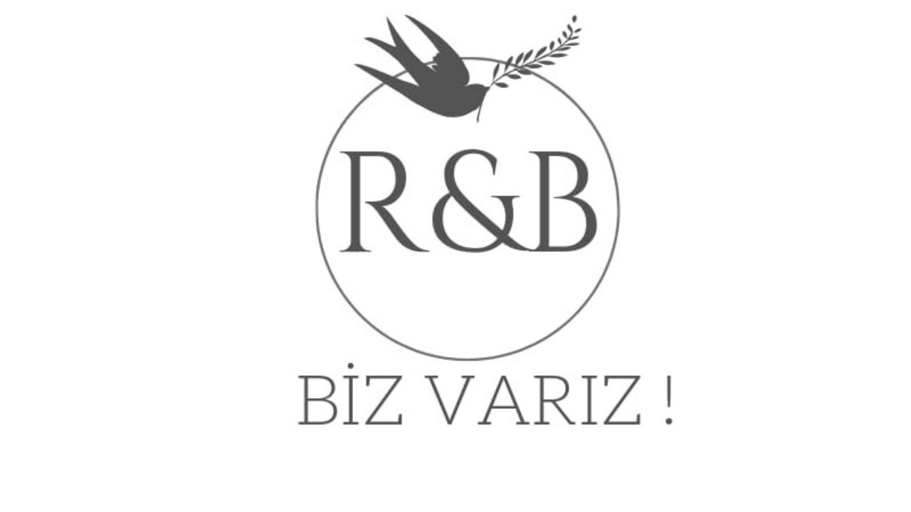 Kırlangıç 🕊️ (Bizde ki anlamı)
