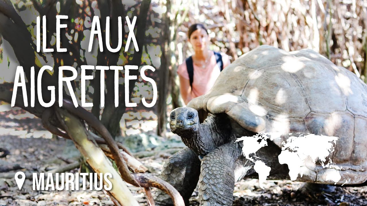 Letzter Tag & Ile aux Aigrettes • Mauritius • Vlog #181