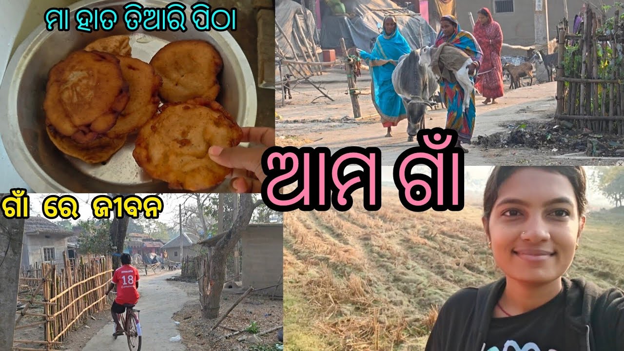 ମୋ ଗାଁ ମୋ ଜୀବନ ❤️ | ମାଆ ହାତ ରନ୍ଧା ଖାଦ୍ୟ ଓ ଶାନ୍ତ ଜୀବନ । Village Life| Odia Vlog