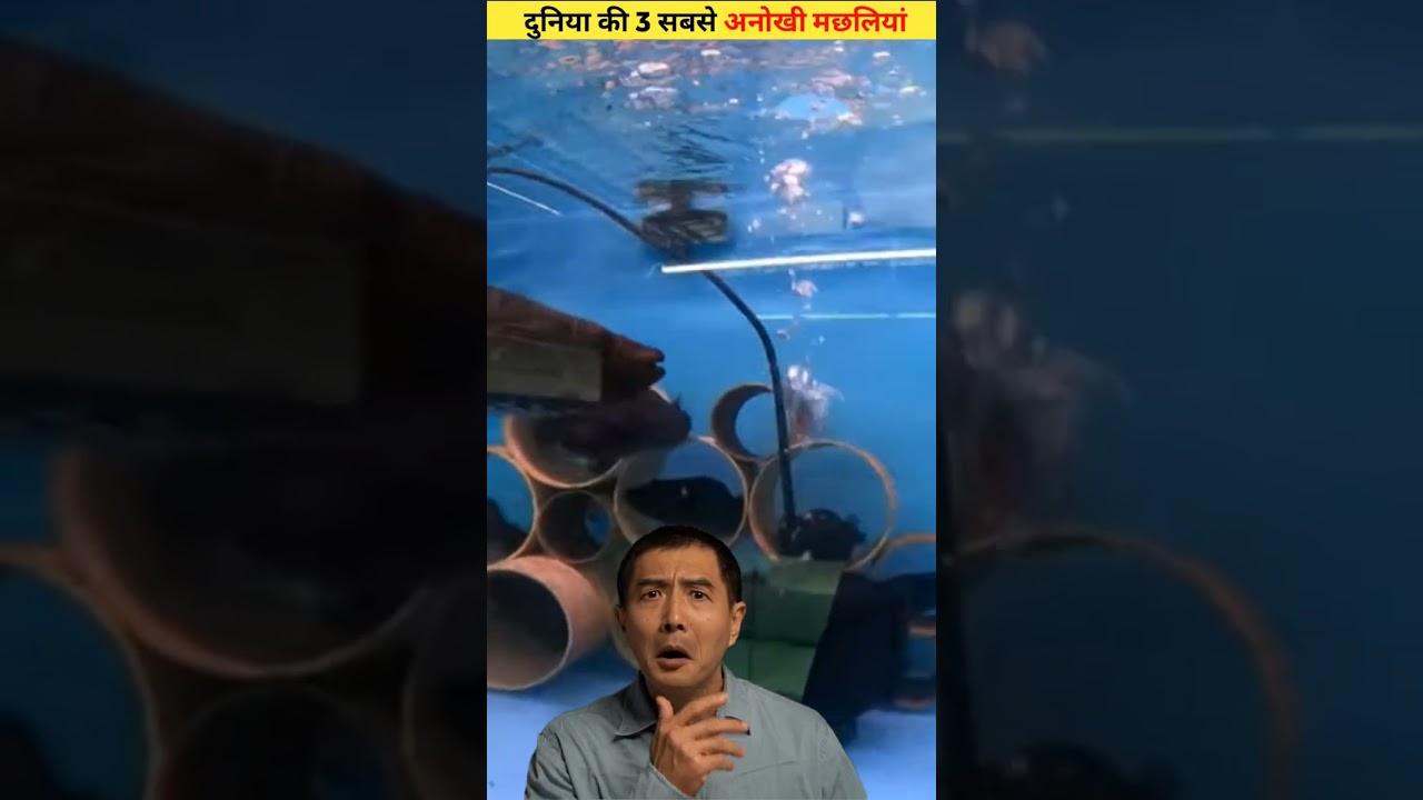 दुनिया की 3 सब से unique fish | Most unique fish in the world |  