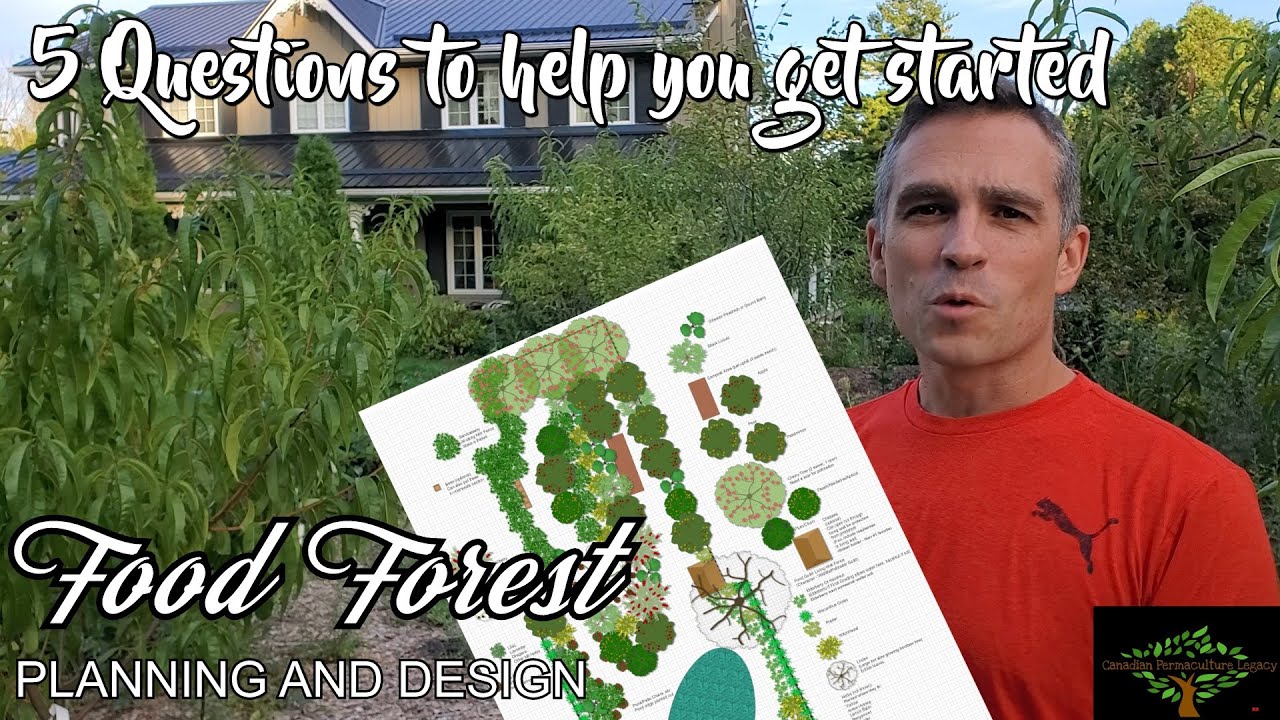 So you want a food forest. Now what? 5 questions to help you get started.