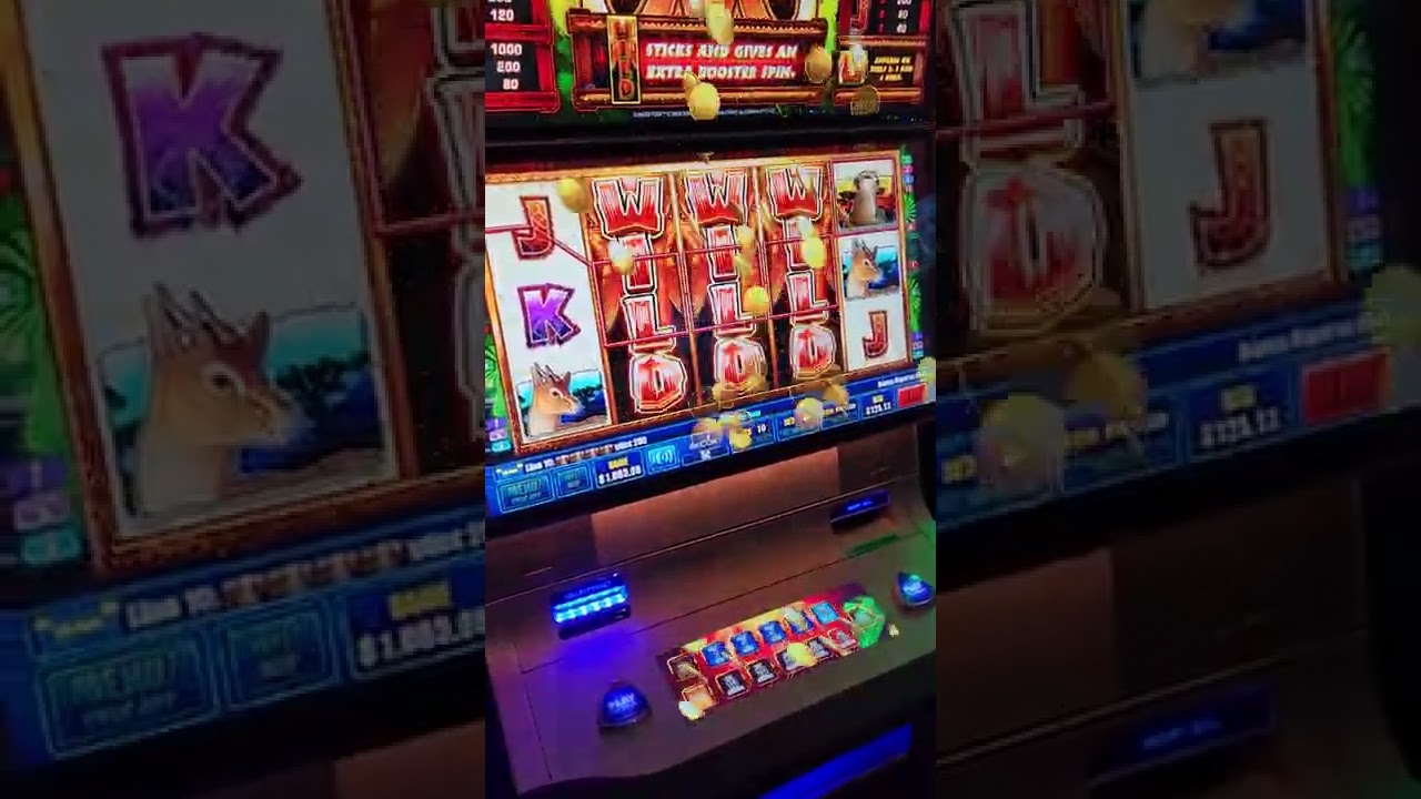 BIG WIN!!! on Sunset Tusk