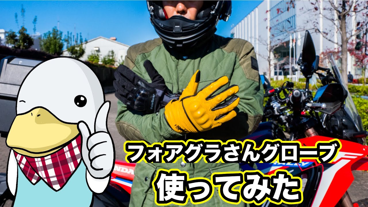 フォアグラさんとカエディアのグローブ両方レビューしてみた