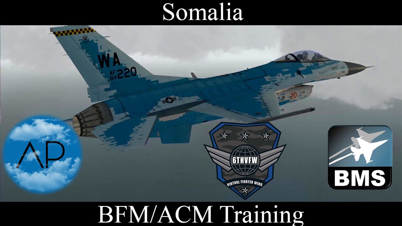 Falcon BMS - 669VFS - BFM/ACM Dogfight Training
