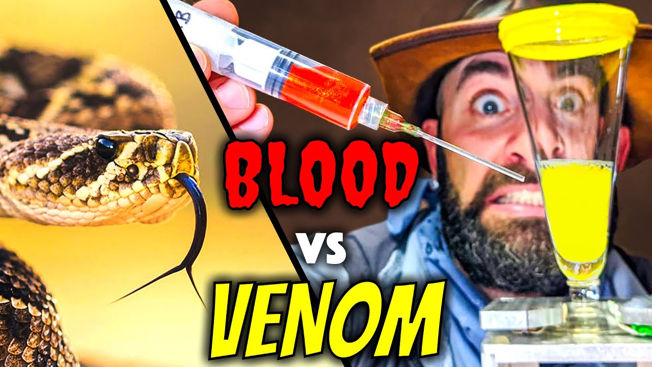 My Blood vs. Snake Venom! Insane Experiment!