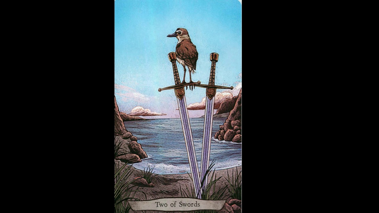 ANIMAL TOTEM TAROT FULL FLIP THROUGH