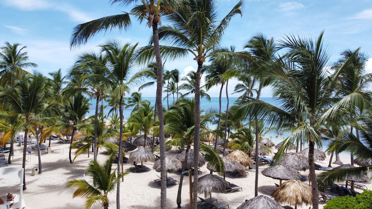 Catalonia Punta Cana hotel, Dominican Republic 🇩🇴 Catalina & Saona Island. Bavaro beach 🏖️ Drone.