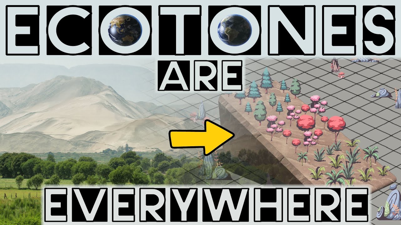 Ecotones: Nature's Borders