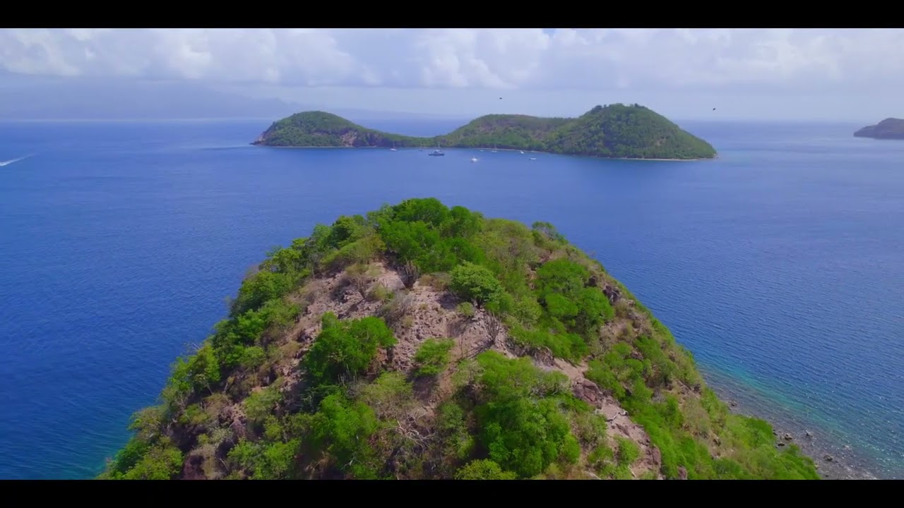 Plage du Pain de sucre, Iles des  Saintes, Guadeloupe