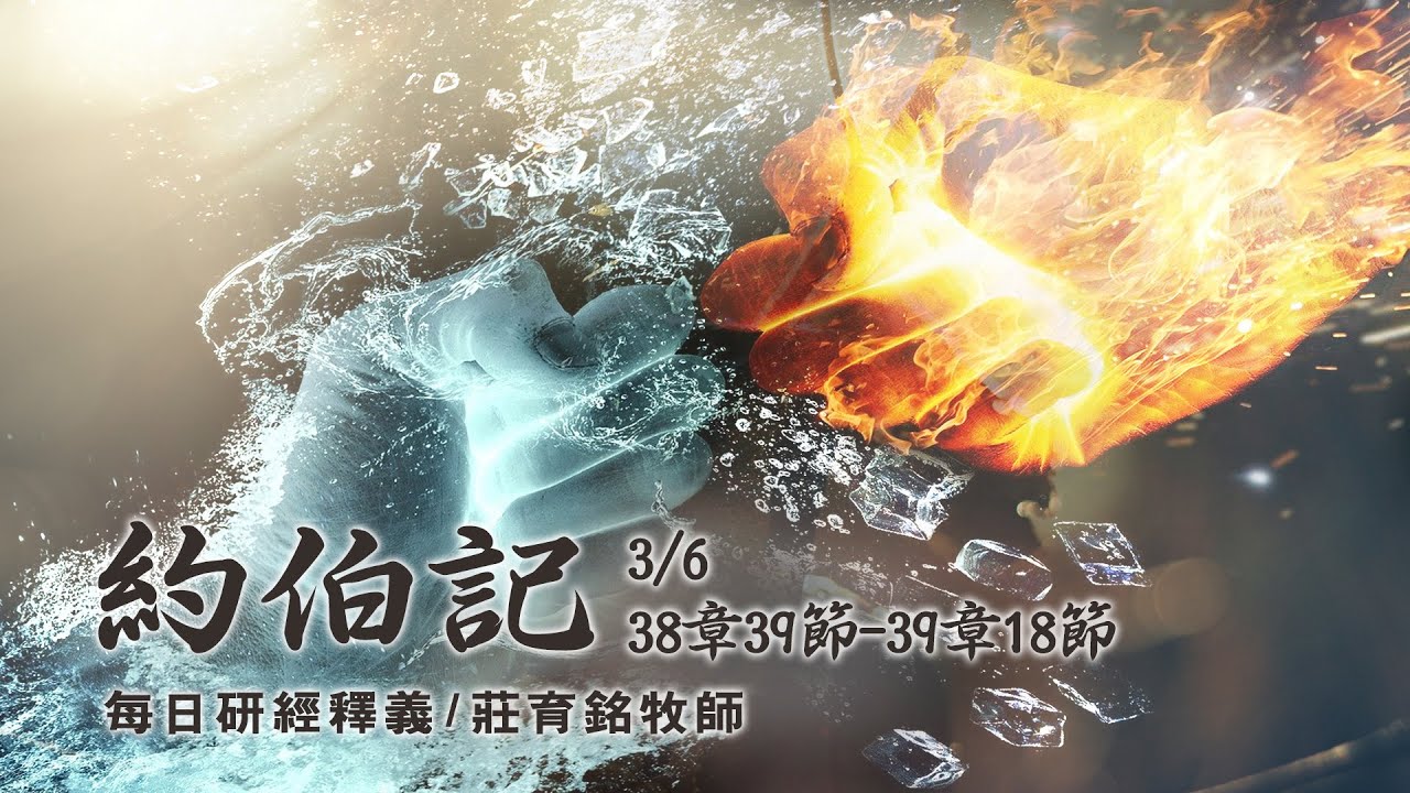 200306 約伯記 38章39節~39章18節