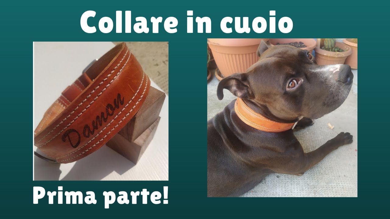 Collare in cuoio con cuciture decorative!