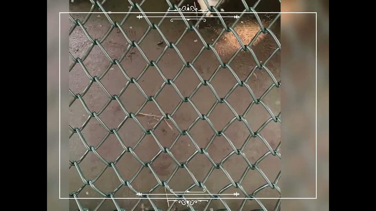 Plastic Coated Chain Link Fence Mesh / Heavy Duty Chain Link Fencing