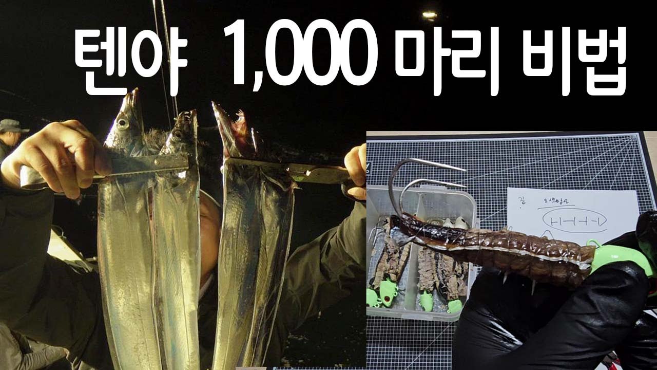 텐야로만 갈치 1000마리이상 잡은 노하우 미끼감는법 갈치 잘 걸리게 하는법 갈치지깅