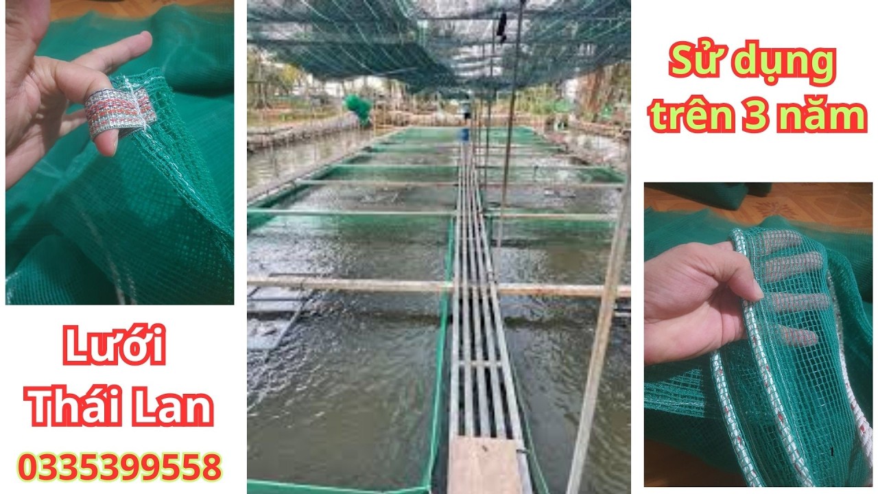 Tráng - Vèo lưới Thái Lan nuôi ốc cá tôm ếch lươn... Bền và đẹp sử dụng trên 3 năm