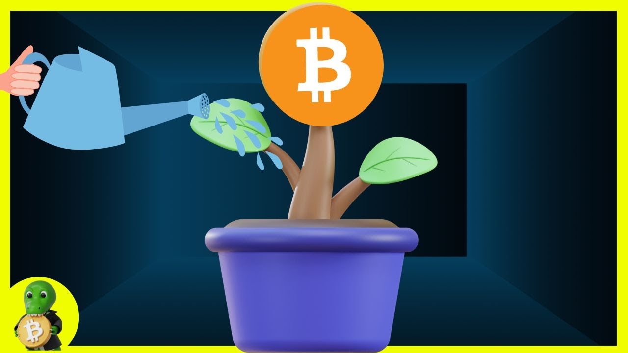 Yield Farming einfach erkl&auml;rt + die Risiken von 