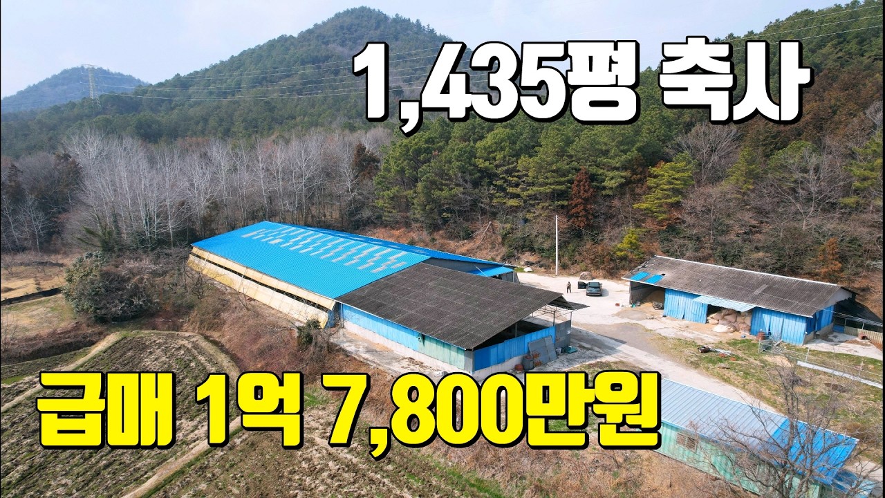 전남축사매매 #1906 강진군 강진읍 축사 급매 | 1,435평 넓은 부지+355평 축사 | 매매 1억 7,800만 원