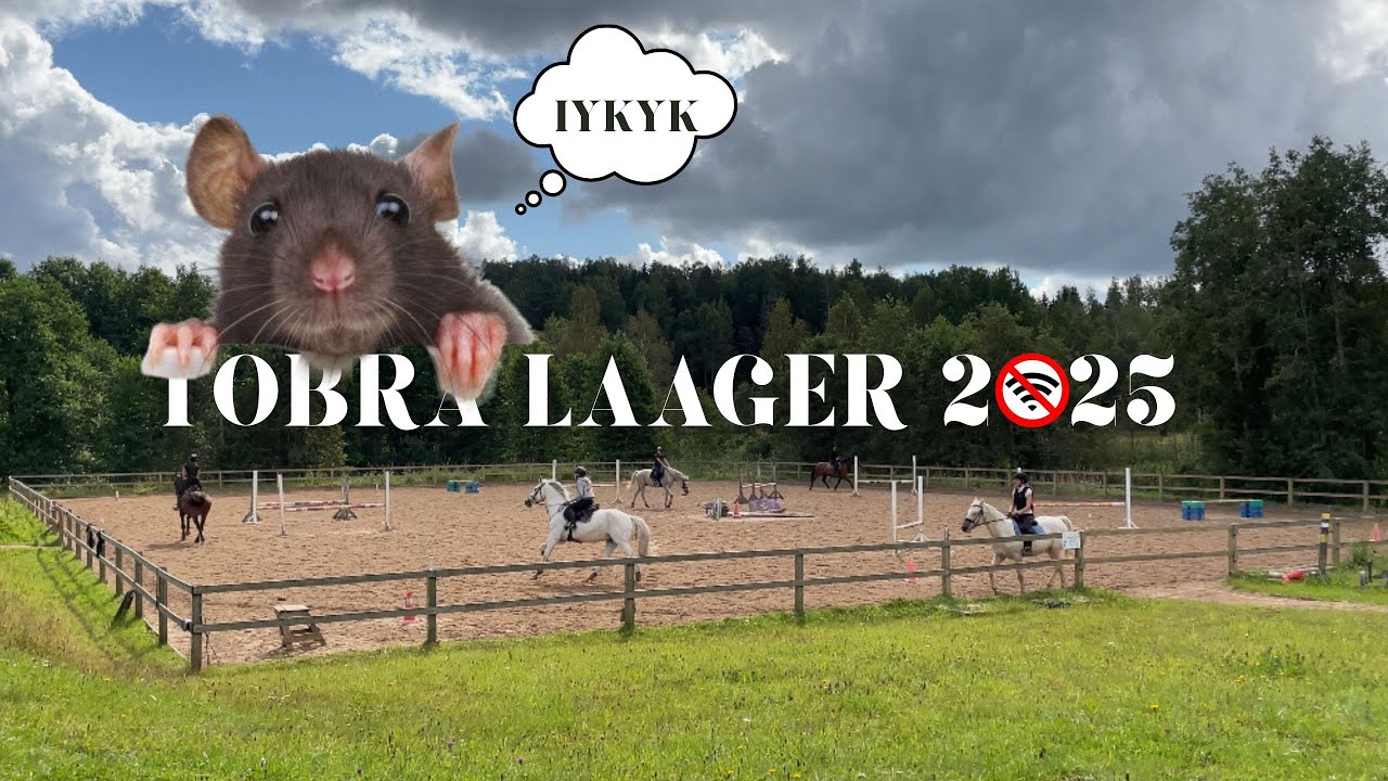 Tobra ratsalaagri vlog 2025