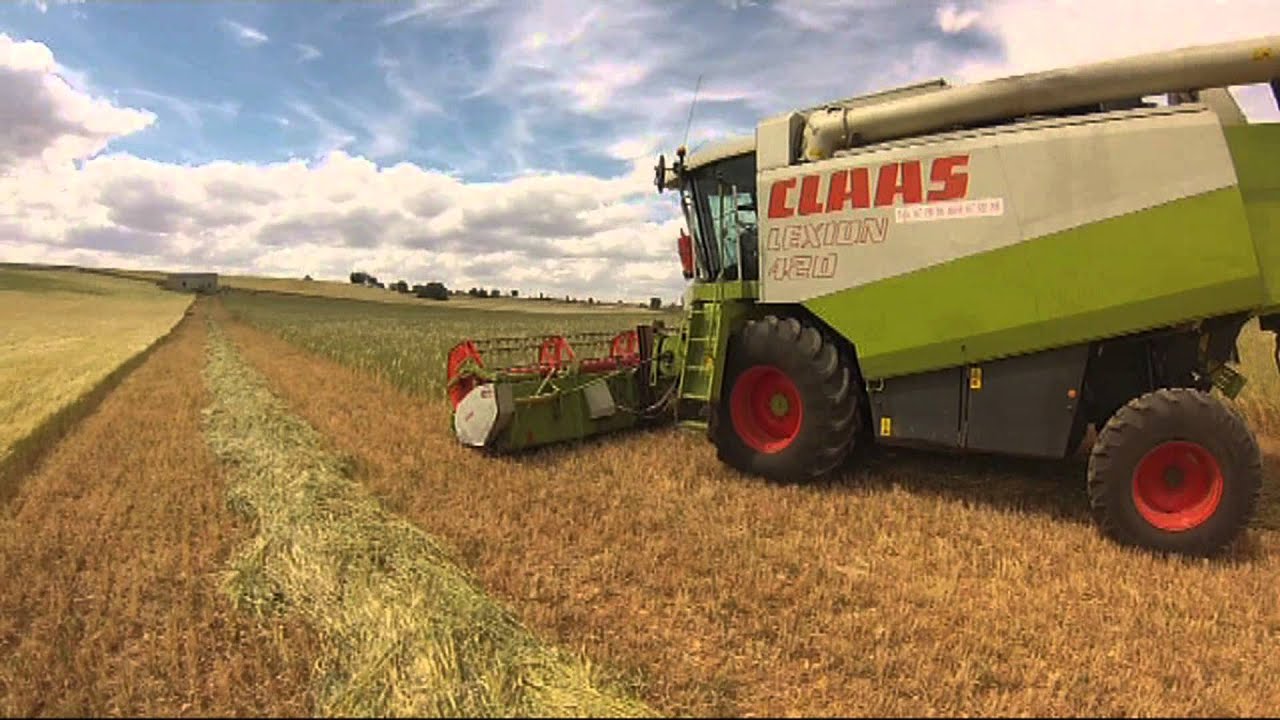 Claas Lexion 420. Segando forraje