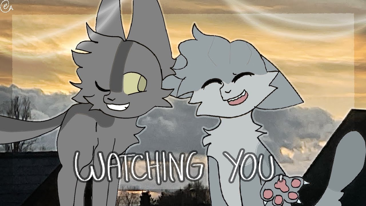 Watching you | animation meme | warrior cats | toonsquid