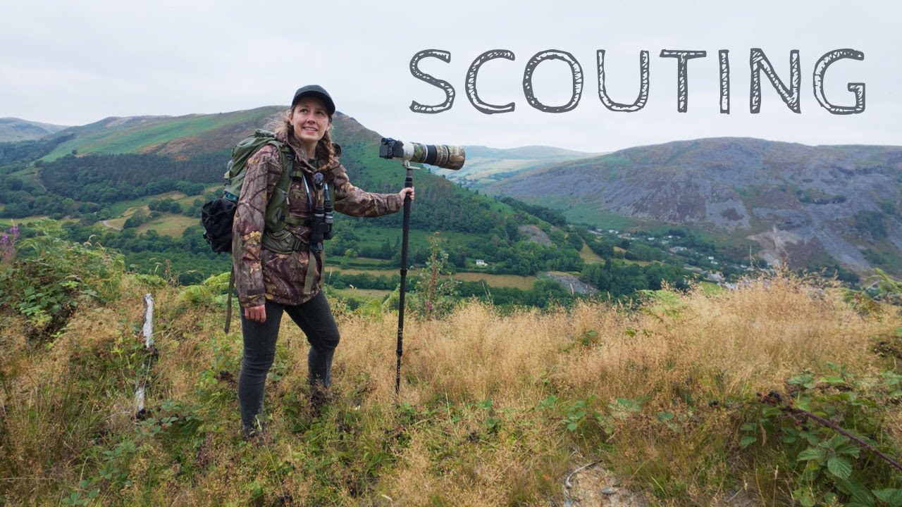 Scouting