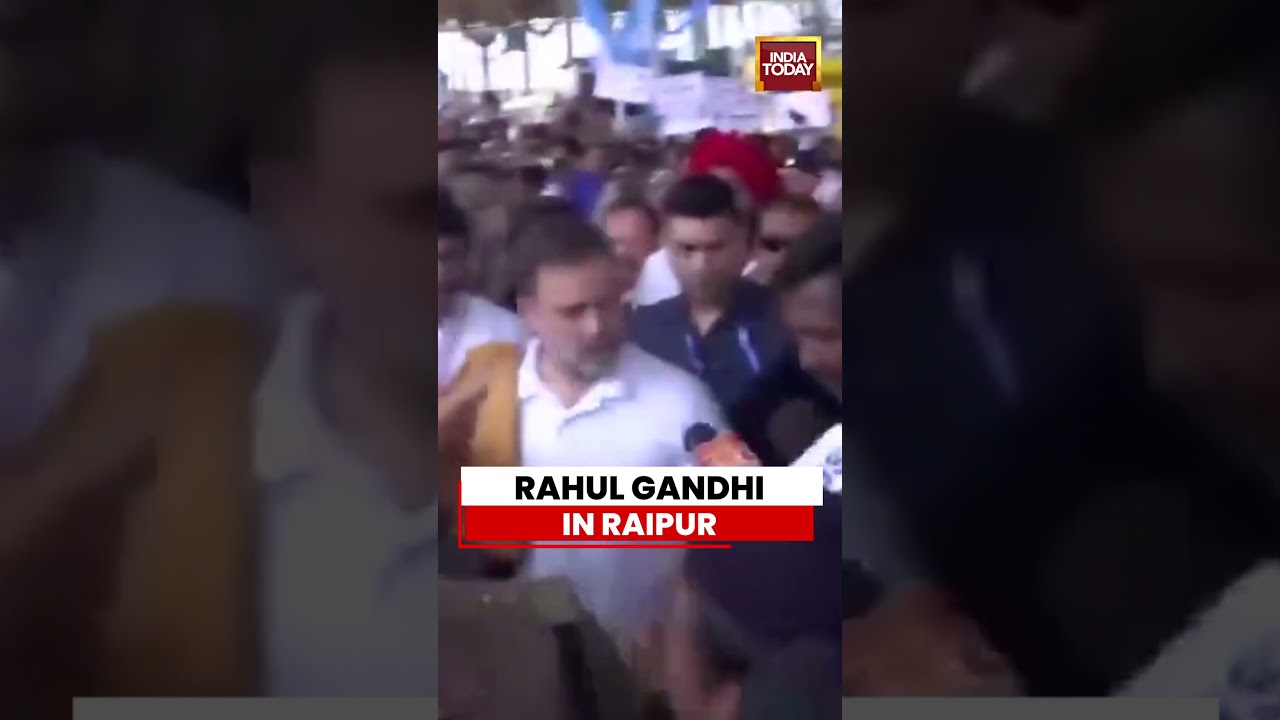 Chhattisgarh: Rahul Gandhi Reaches Raipur on One-Day Party Visit | Congress | Rahul Gandhi