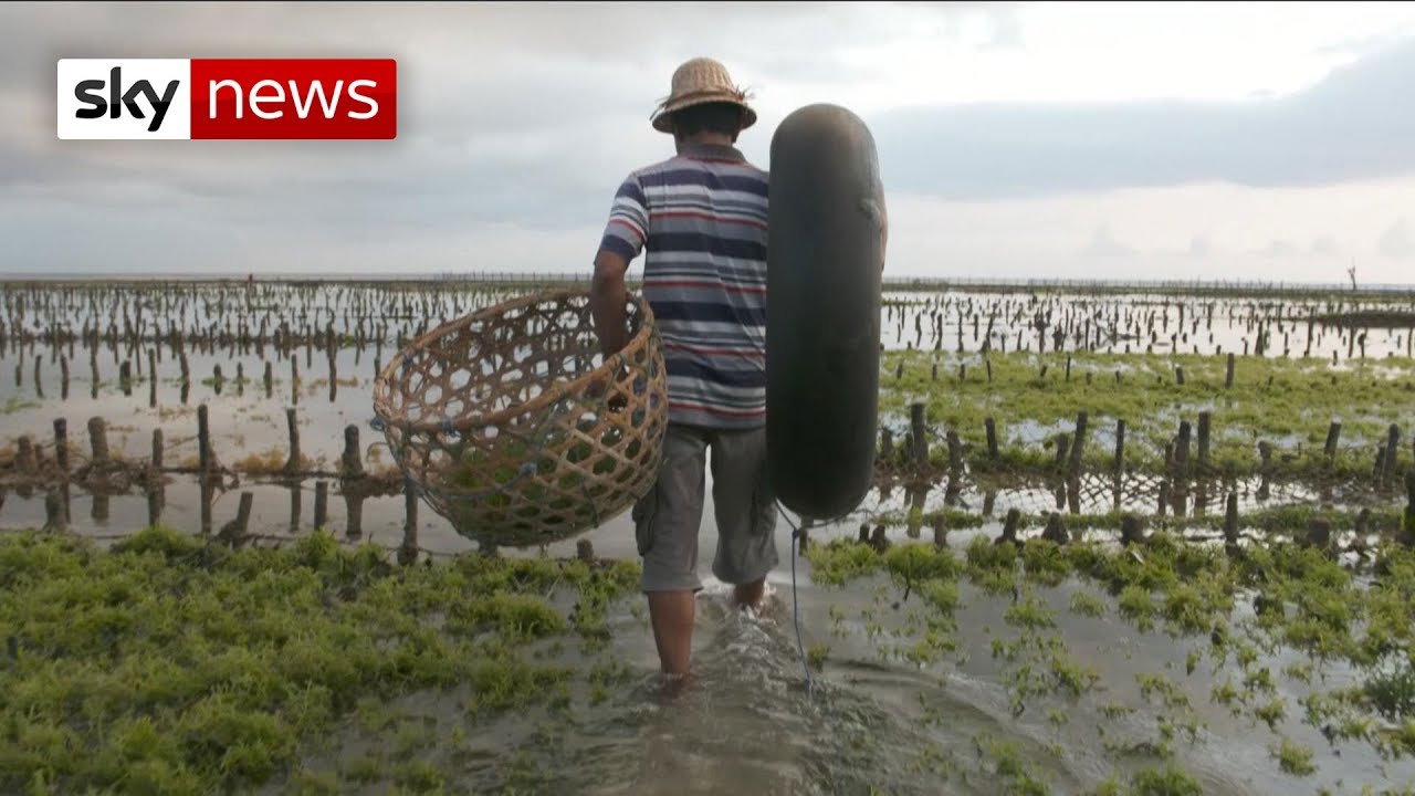 The Bali farmer helping to fight plastic pollution