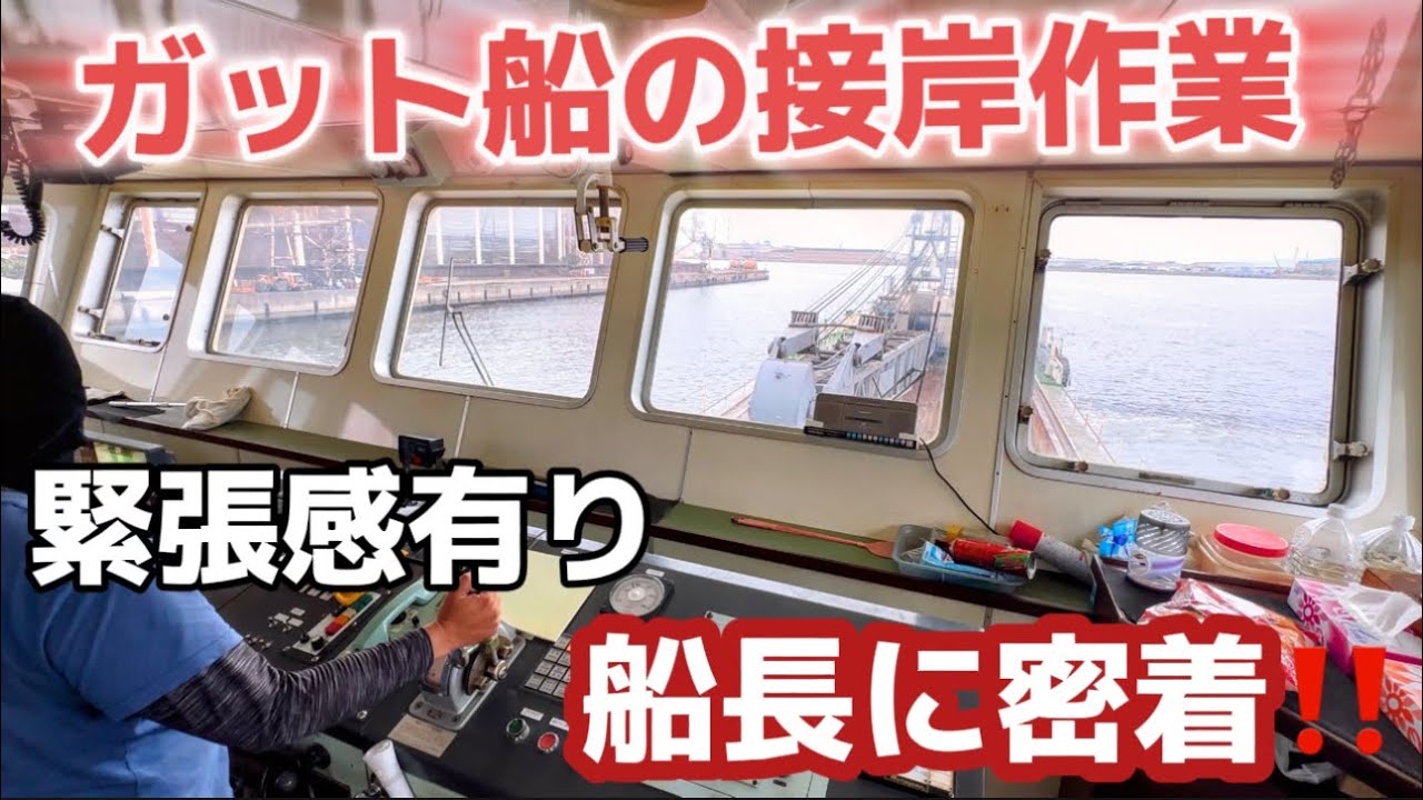 【2024】【ガット船】指定時間に向けてガット船を操って陸に向かう船長！ガット船接岸！ブリッジ【船橋】にカメラ密着‼️