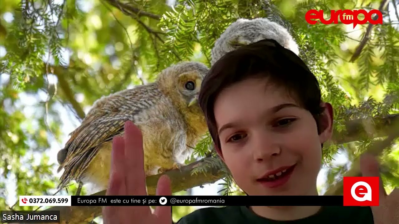 Sasha Jumanca, băiatul de 11 ani care obține premiu după premiu, fotografiind păsările