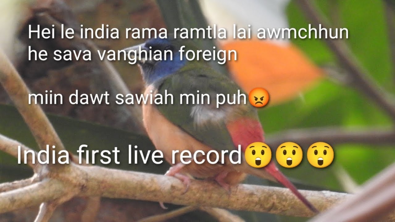 India ram a thlalak hmasaber,,vakul rorel thawm,lungdup mupui chaw zawng etc.