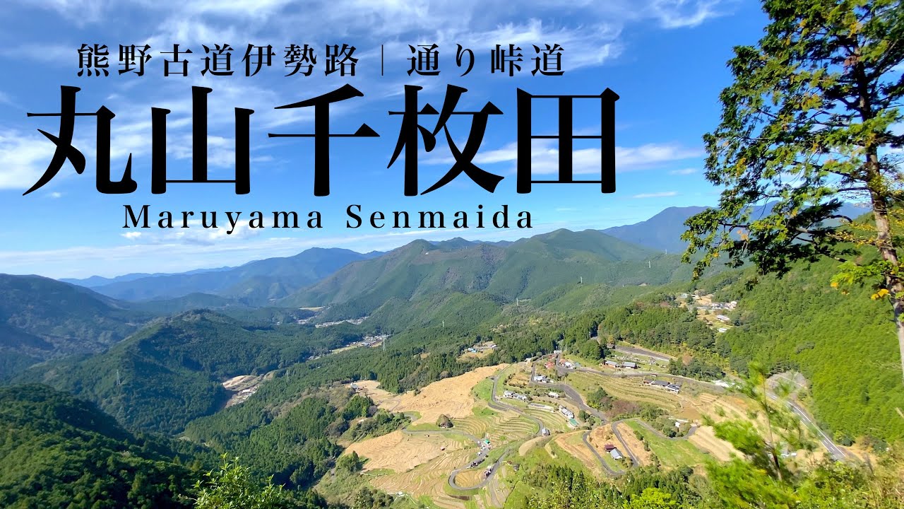 【トレッキング】熊野古道伊勢路・通り峠道と丸山千枚田 ｜秋晴れの棚田を歩く